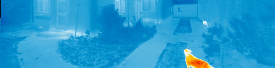 A hőképen látható helyszínen állunk rendelkezésére.